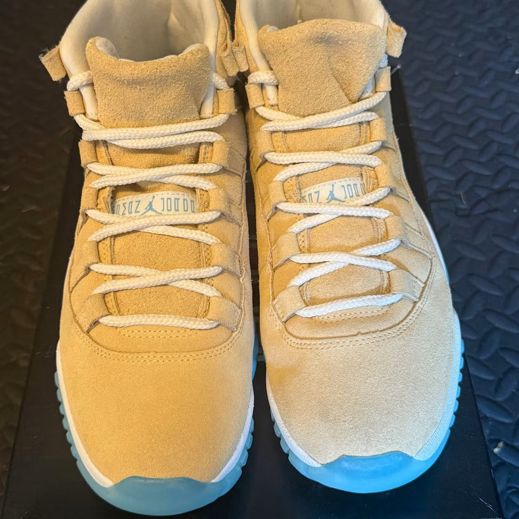 Air Jordan 11 Retro H-Town