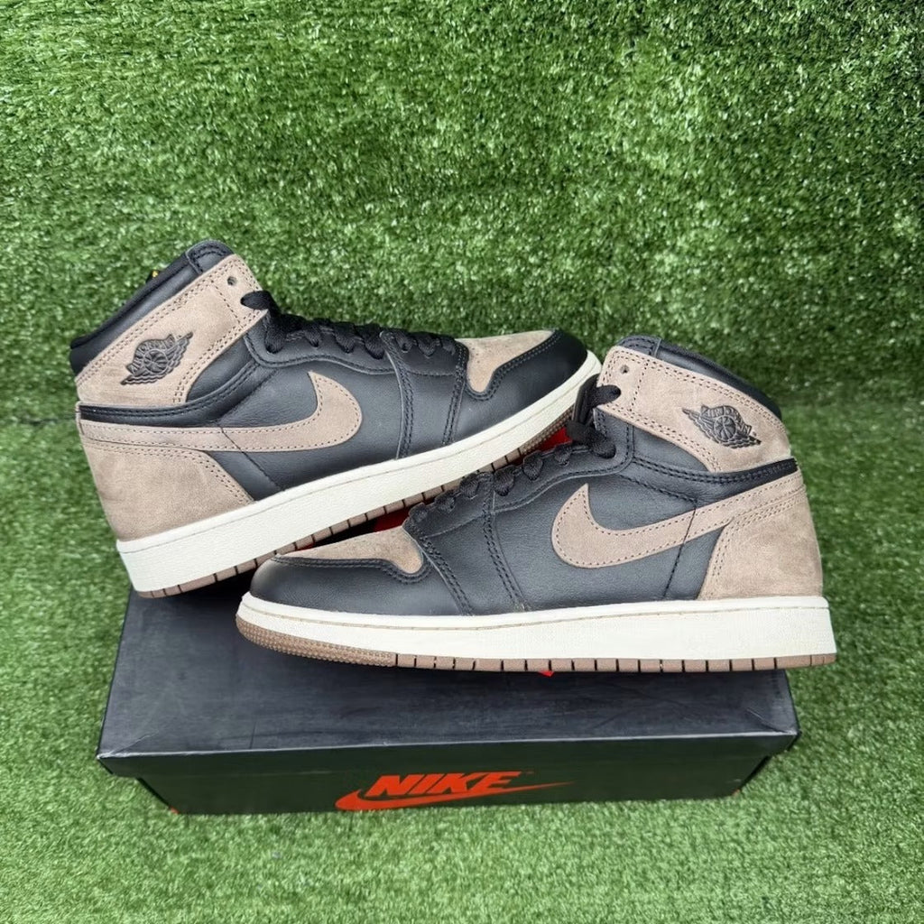 Air Jordan 1 Retro High OG Palomino (GS)
