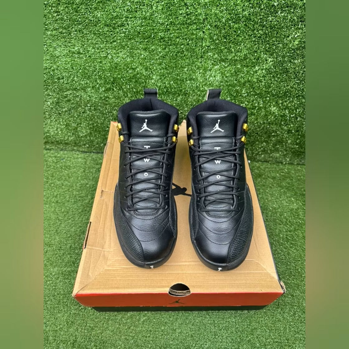 Air Jordan 12 Retro The Master
