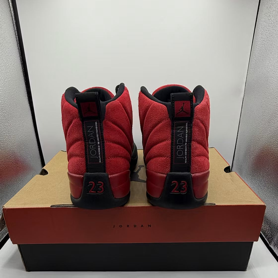 Air Jordan 12 Retro Reverse Flu Game