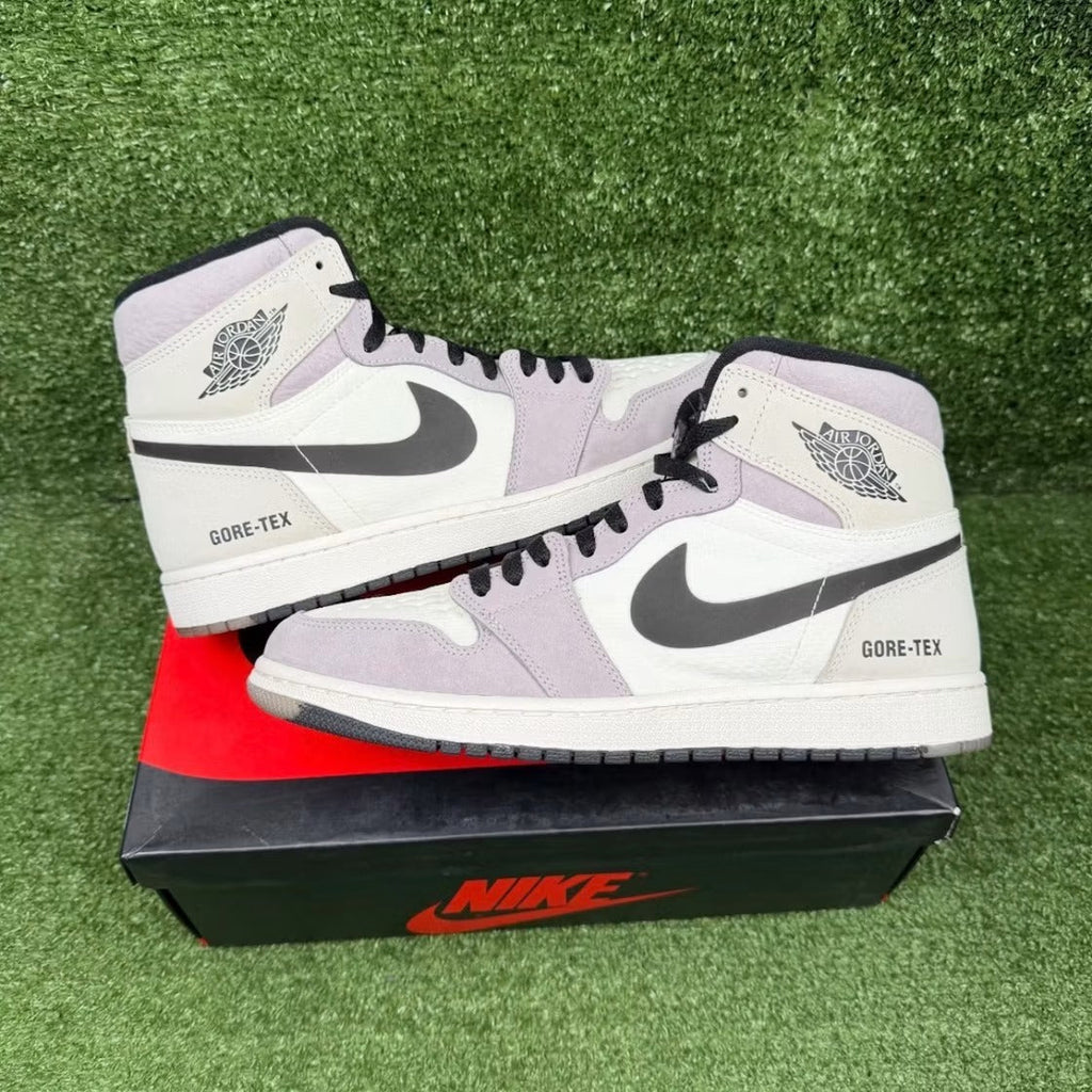 Air Jordan 1 Retro High Element Gore-Tex Light Bone