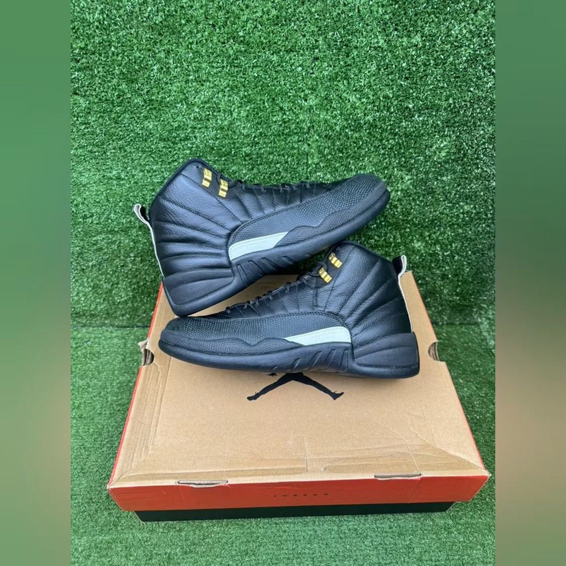 Air Jordan 12 Retro The Master