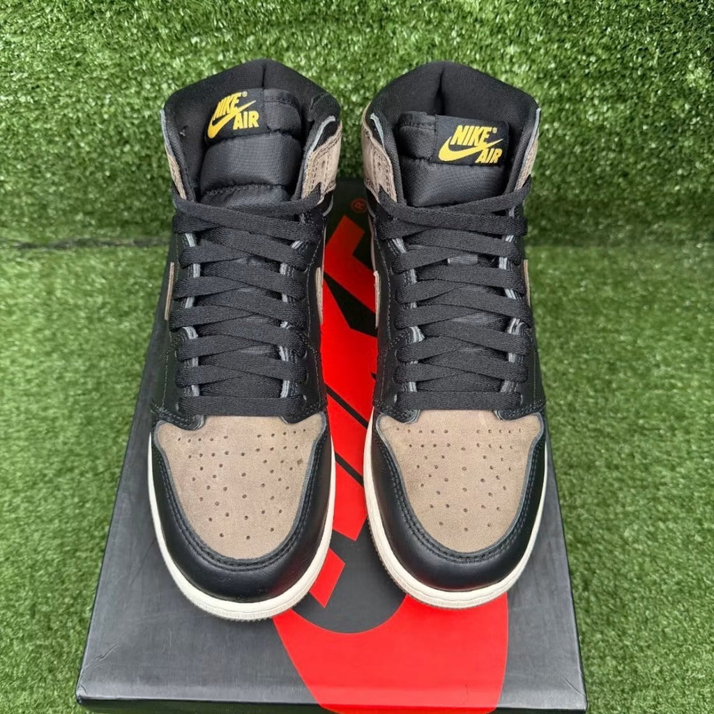 Air Jordan 1 Retro High OG Palomino (GS)